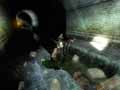GC 2005 - 3D Gamers 07